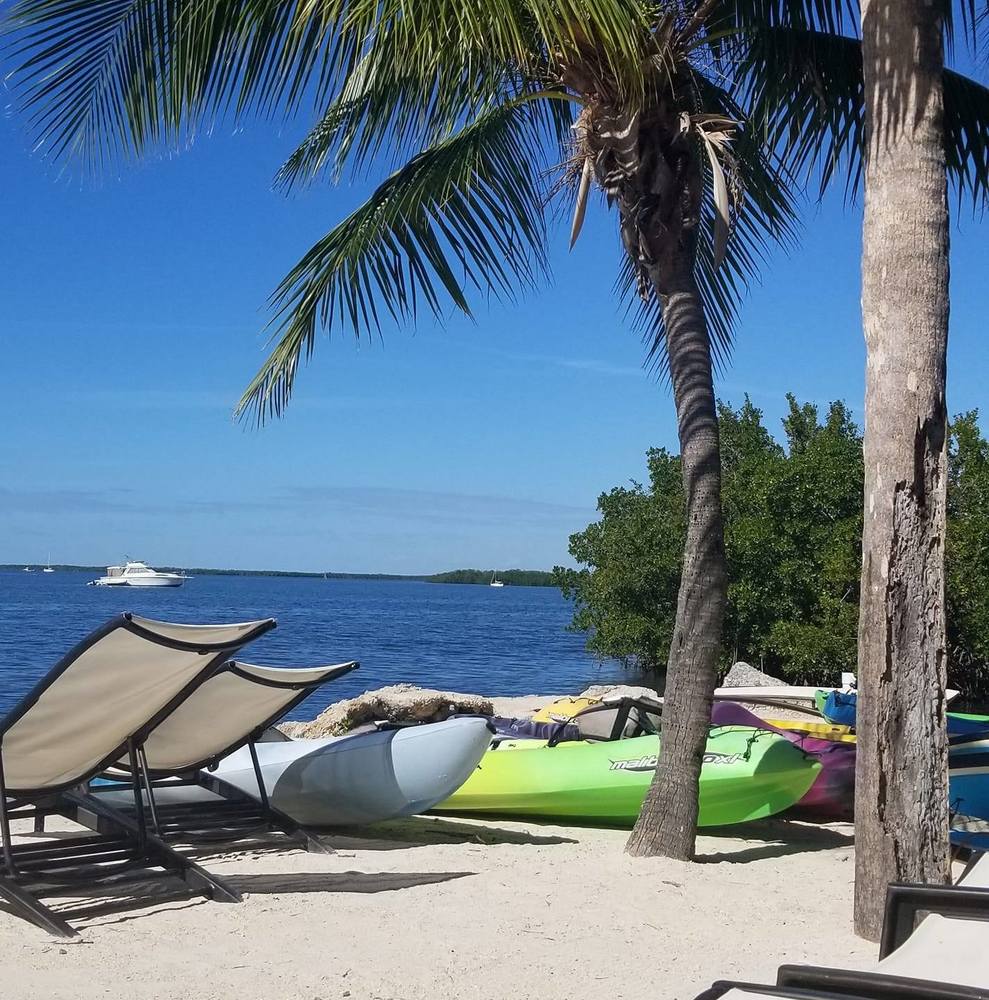 Meet your Posher, Janene